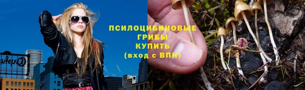 гидра Алзамай