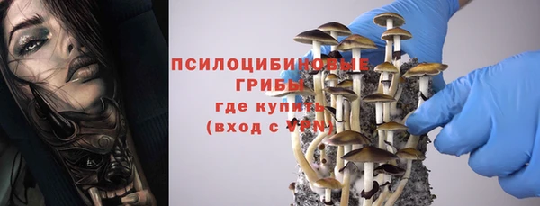 синтетический гашиш Гусиноозёрск