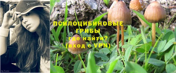 индика Абдулино