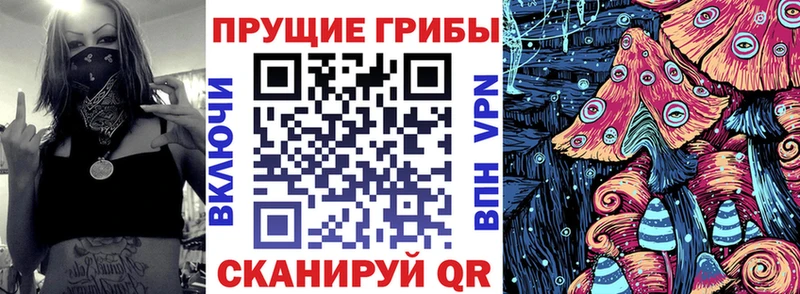 Галлюциногенные грибы мицелий  наркошоп  Плавск 